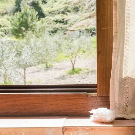 Farm stay Agriturismo Portella Della Ginestra